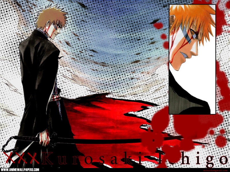 Otaku Gallery  / Anime e Manga / Bleach / Wallpapers / 107.jpg